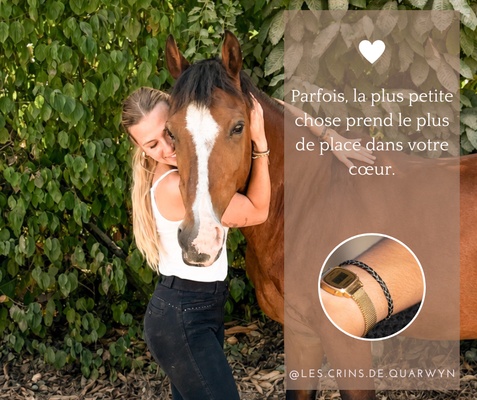Marylou et Quarwyn