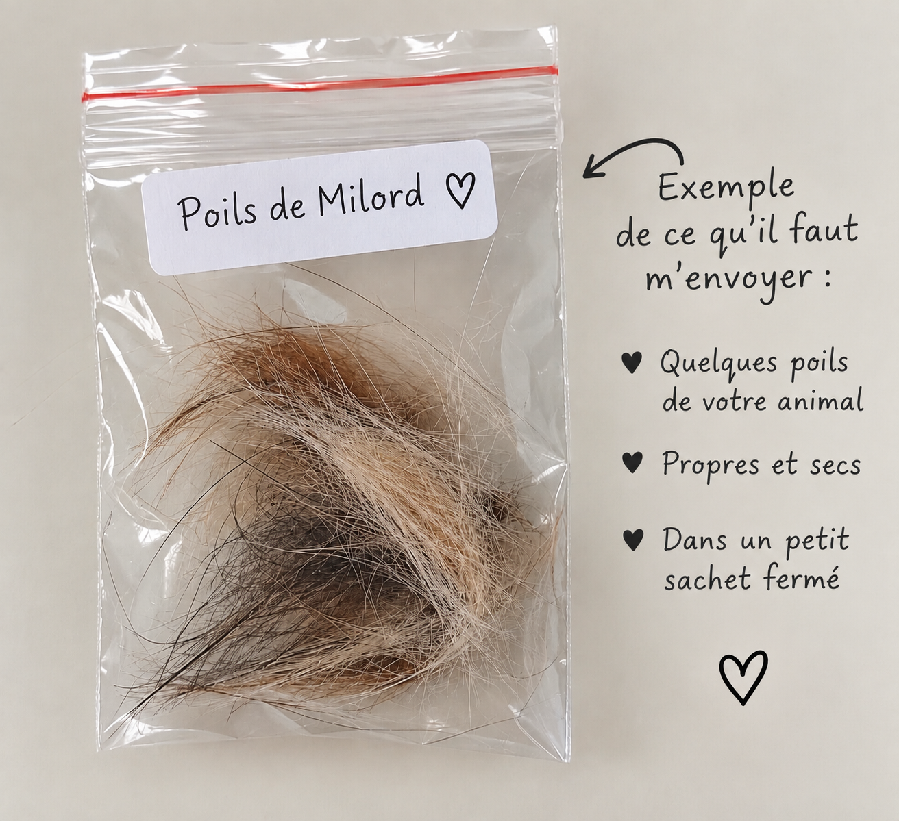 Exemple de ce qu’il faut envoyer pour les poils : quelques poils propres et secs dans un petit sachet fermé