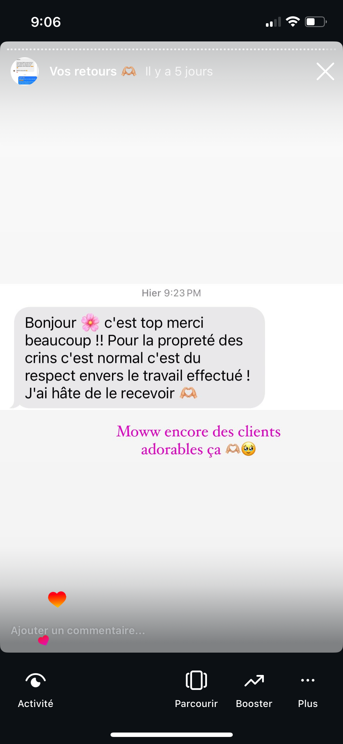 Témoignage client sur Les Crins de Quarwyn — 12